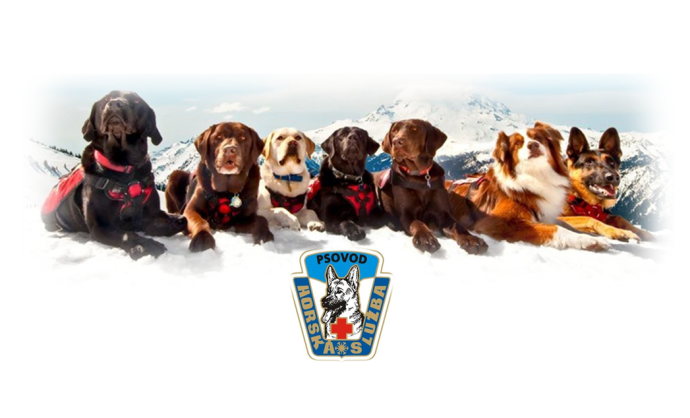 Atestační kynologický kurz