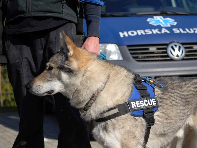 Pátrání po seniorce u hranic s Polskem