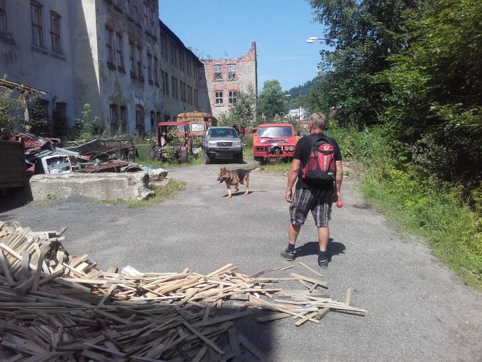Kynologické cvičení v Jizerských horách