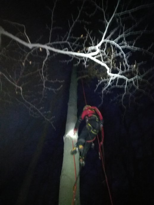 Záchrana paraglidisty z vysokého stromu