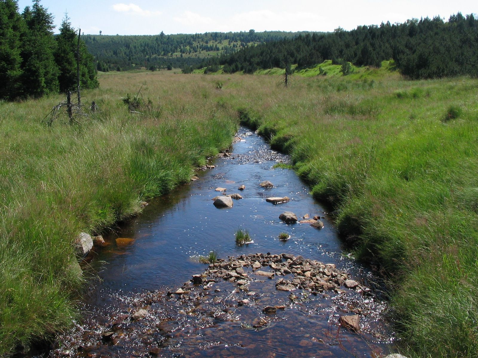 ilustrace na pozadí