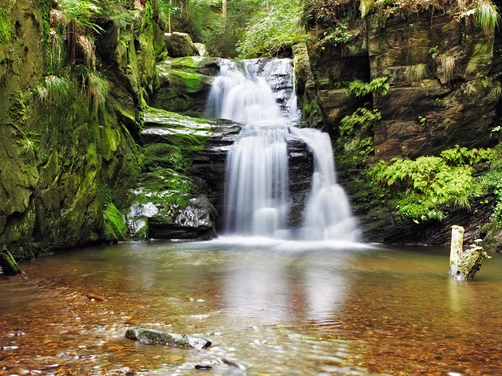 ilustrace na pozadí