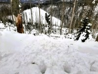 Na Šumavě lyžař utrhl lavinu, zasahovali horští záchranáři