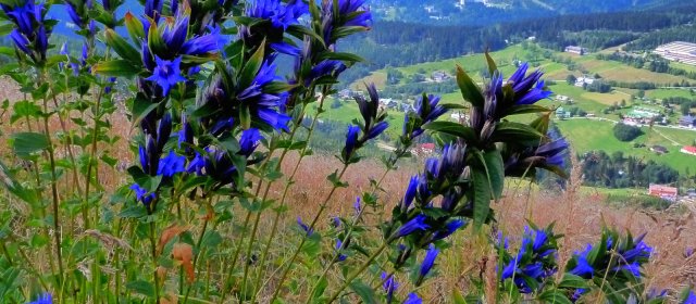 ilustrace na pozadí