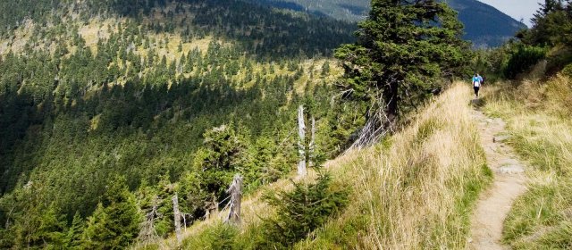 ilustrace na pozadí