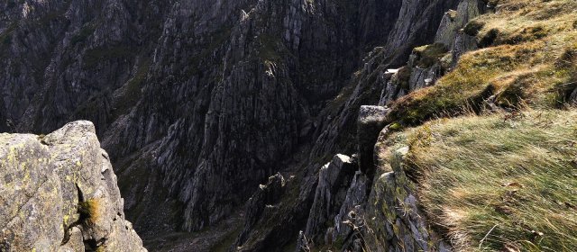 ilustrace na pozadí