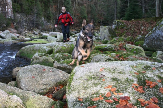Úspěšné pátrání po seniorce 