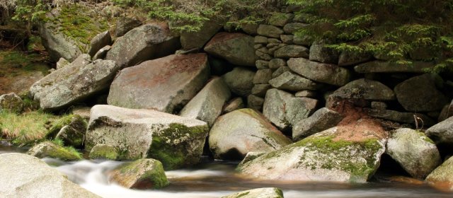 ilustrace na pozadí