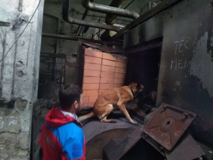 Kynologické cvičení v Jeseníkách