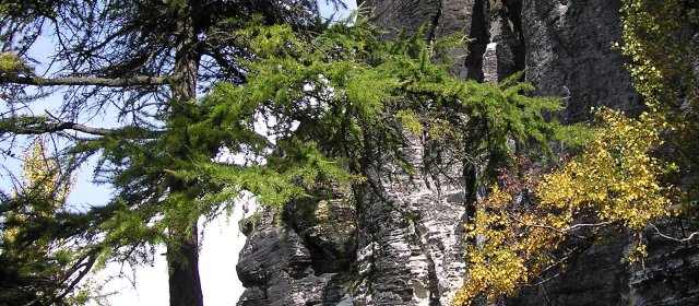 ilustrace na pozadí