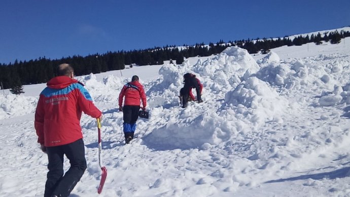 Atestační lavinový kynologický kurz