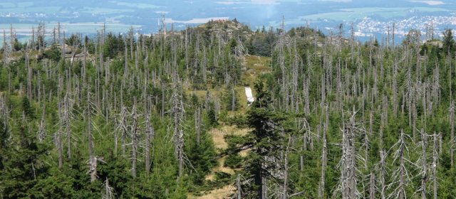 ilustrace na pozadí