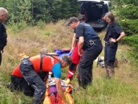 Pátrání po nezvěstné seniorce