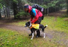 Náročný týden psovodů a jejich čtyřnohých svěřenců.