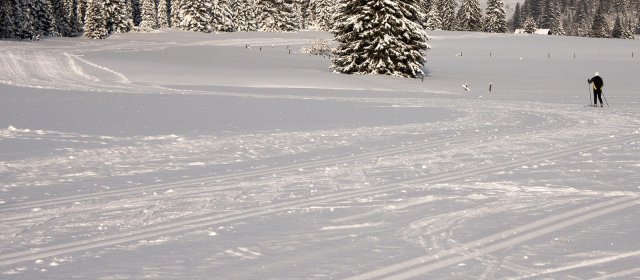 ilustrace na pozadí