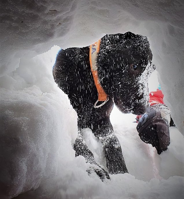 Zkoušky Psovod horské služby