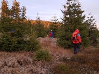 Mohutná pátrací akce na německé straně Šumavy