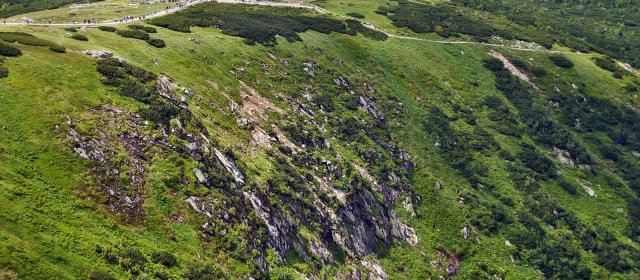 ilustrace na pozadí