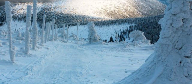 ilustrace na pozadí