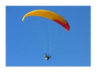 Paraglidista v koruně stromu