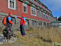 Horští psi záchranáři umějí i létat