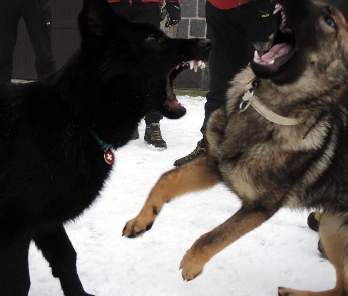 Cvičení v Orlických horách