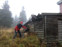 Kynologické atesty HS