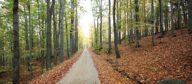 ilustrace na pozadí