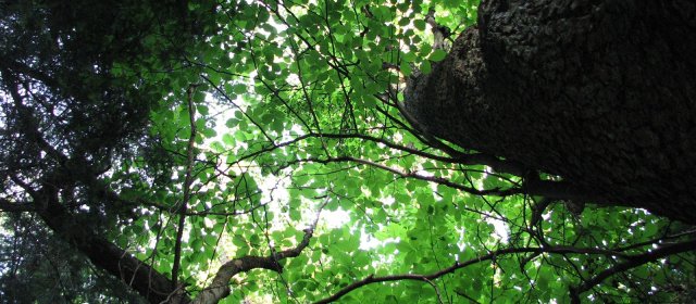 ilustrace na pozadí