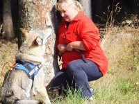 Cvičení v Domažlicích