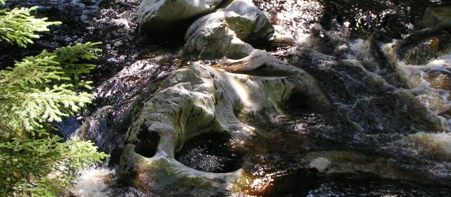 ilustrace na pozadí