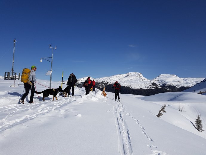 ICAR workshop pro lavinové psy