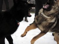 Cvičení v Orlických horách