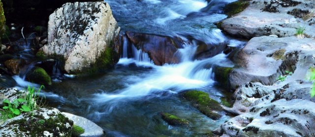 ilustrace na pozadí