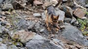 fotobanka/2010/188-cviceni-orlicky-2010/pa010087.jpg