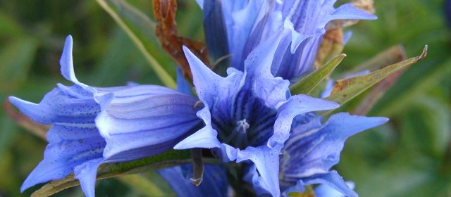 ilustrace na pozadí