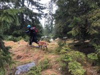 Mohutná pátrací akce v okolí Modravy