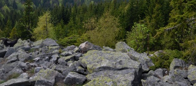 ilustrace na pozadí