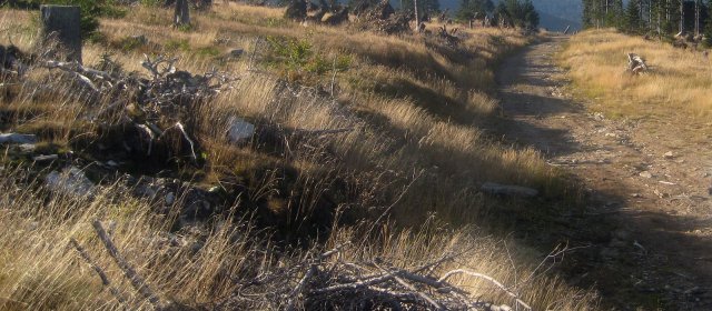 ilustrace na pozadí