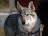 Cvičení Ostrava 2012