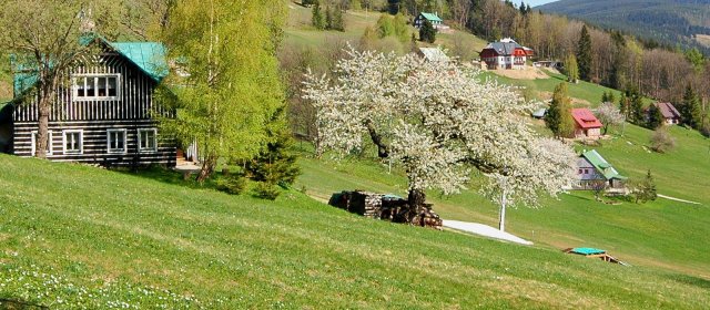 ilustrace na pozadí