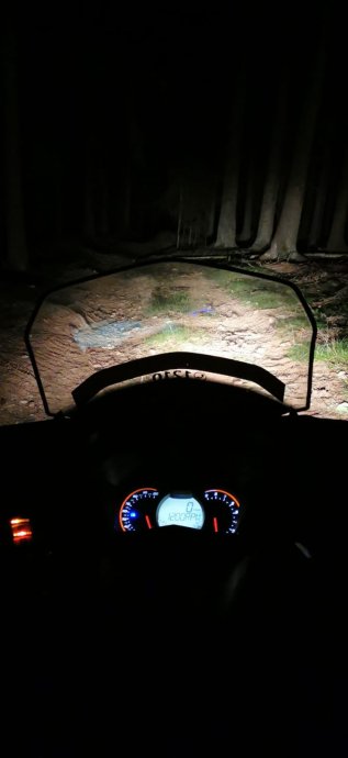 Noční pátrání s dobrým koncem