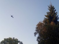 Pátrání po ztracené houbařce v rašeliništích