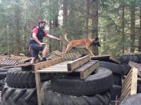 Kynologické cvičení na Spáleništi u Lipna