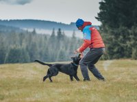 Chlupatí záchranáři 🐾