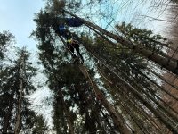 Paraglidista v Beskydech na stromě