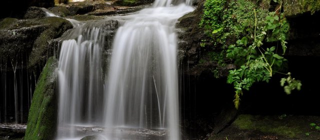 ilustrace na pozadí