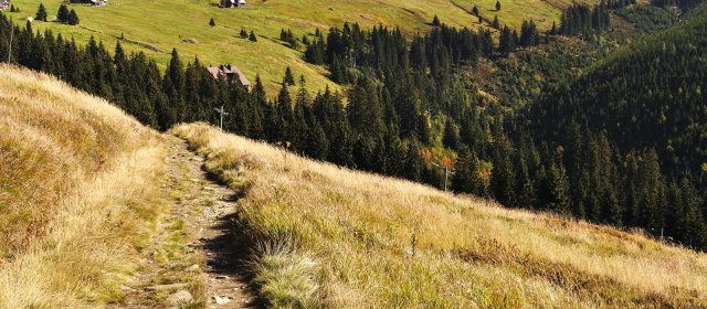 ilustrace na pozadí