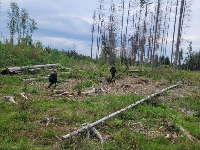 Mezinárodní kynologické cvičení v Domažlicích představilo systém Pátrač