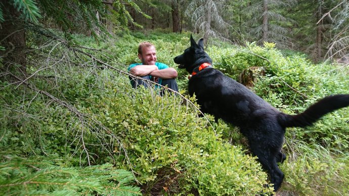 Kynologické cvičení ve Strážném